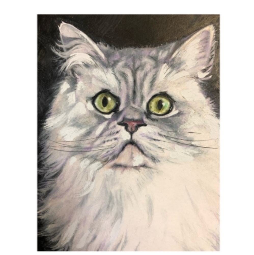 Persian Cat by John McKeon Free Bad in Philly T w/ Print purchase